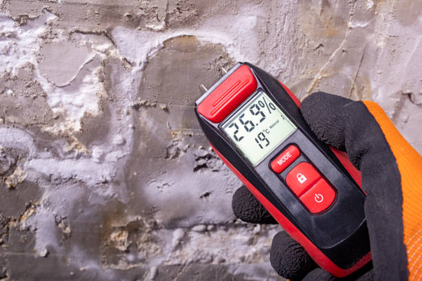 San Marcos, CA Mold Removal Company