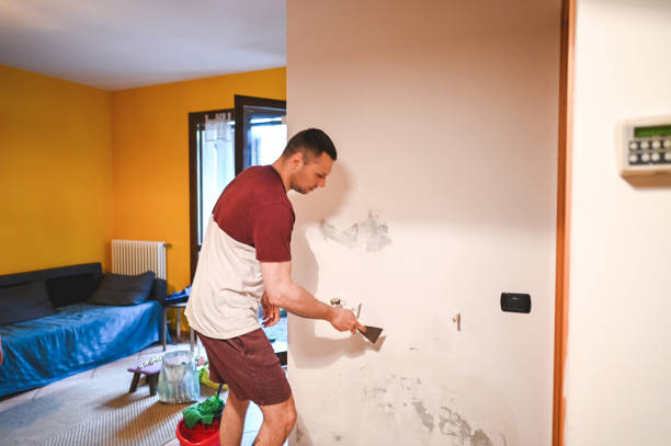 Best Emergency Mold Removal  in San Marcos, CA